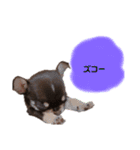 タツミ フウ（個別スタンプ：2）