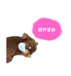 タツミ フウ（個別スタンプ：3）