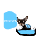 タツミ フウ（個別スタンプ：6）