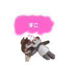 タツミ フウ（個別スタンプ：8）