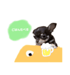 タツミ フウ（個別スタンプ：9）