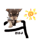 タツミ フウ（個別スタンプ：10）