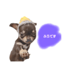 タツミ フウ（個別スタンプ：11）