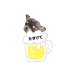 タツミ フウ（個別スタンプ：13）