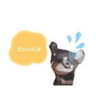 タツミ フウ（個別スタンプ：14）