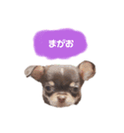 タツミ フウ（個別スタンプ：19）