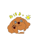 トイプゥ（個別スタンプ：1）