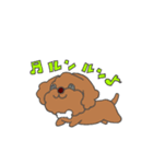 トイプゥ（個別スタンプ：2）