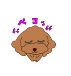 トイプゥ（個別スタンプ：6）