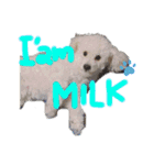 I'm MILK ..！！！！！（個別スタンプ：9）