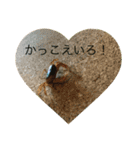サワガニ2ひき 第三弾(土佐弁バージョン)（個別スタンプ：13）