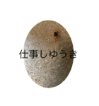 サワガニ2ひき 第三弾(土佐弁バージョン)（個別スタンプ：15）