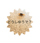 サワガニ2ひき 第三弾(土佐弁バージョン)（個別スタンプ：19）