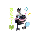 パピジャニのリンちゃん（個別スタンプ：22）