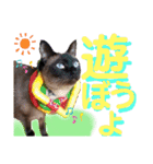 太郎の日常②（個別スタンプ：2）