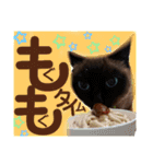 太郎の日常②（個別スタンプ：3）