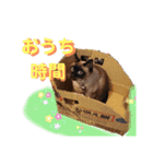 太郎の日常②（個別スタンプ：5）