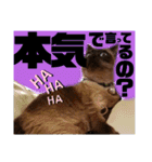 太郎の日常②（個別スタンプ：8）