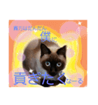 太郎の日常②（個別スタンプ：9）