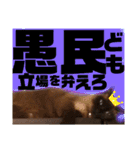 太郎の日常②（個別スタンプ：11）