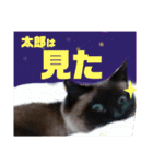 太郎の日常②（個別スタンプ：13）