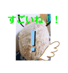 はちみつくんの日常生活（個別スタンプ：4）