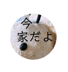 はちみつくんの日常生活（個別スタンプ：5）