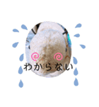 はちみつくんの日常生活（個別スタンプ：6）