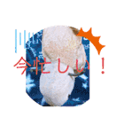 はちみつくんの日常生活（個別スタンプ：12）