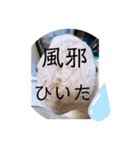 はちみつくんの日常生活（個別スタンプ：13）