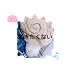 はちみつくんの日常生活（個別スタンプ：15）