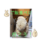 はちみつくんの日常生活（個別スタンプ：17）