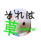 はちみつくんの日常生活（個別スタンプ：27）