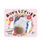 はちみつくんの日常生活（個別スタンプ：28）
