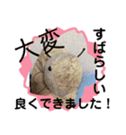 はちみつくんの日常生活（個別スタンプ：29）