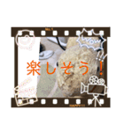 はちみつくんの日常生活（個別スタンプ：31）