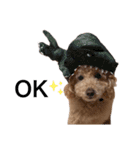 Kai__stamp（個別スタンプ：1）