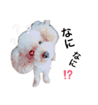 Kai__stamp（個別スタンプ：2）
