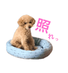Kai__stamp（個別スタンプ：6）