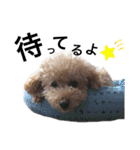 Kai__stamp（個別スタンプ：7）