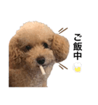Kai__stamp（個別スタンプ：8）