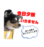 毎日いちくん！2（個別スタンプ：16）