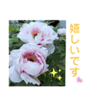 お花好き！ 大人 中高年向けのデカ文字（個別スタンプ：12）