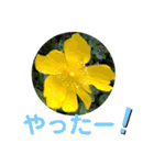 お花好き！ 大人 中高年向けのデカ文字（個別スタンプ：15）