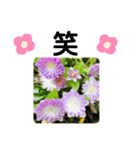 お花好き！ 大人 中高年向けのデカ文字（個別スタンプ：17）