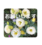お花好き！ 大人 中高年向けのデカ文字（個別スタンプ：20）
