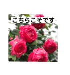 お花好き！ 大人 中高年向けのデカ文字（個別スタンプ：23）