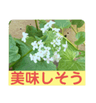 お花好き！ 大人 中高年向けのデカ文字（個別スタンプ：39）