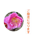 お花好き！ 大人 中高年向けのデカ文字（個別スタンプ：40）