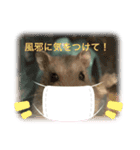 小さな天使のささみちゃん（個別スタンプ：1）